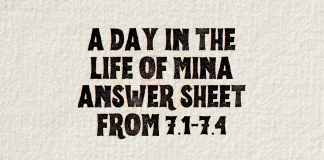 A Day in the Life of Mina Answer Sheet