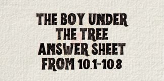 The Boy Under the Tree Answer sheet